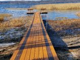 IMG_20230316_163208